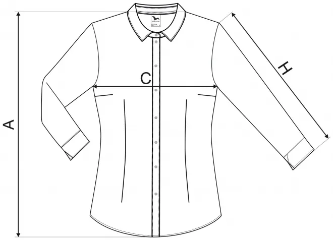 Naiste pikkade varrukatega pluus - mõõtmete tabel